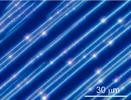 nanofibers