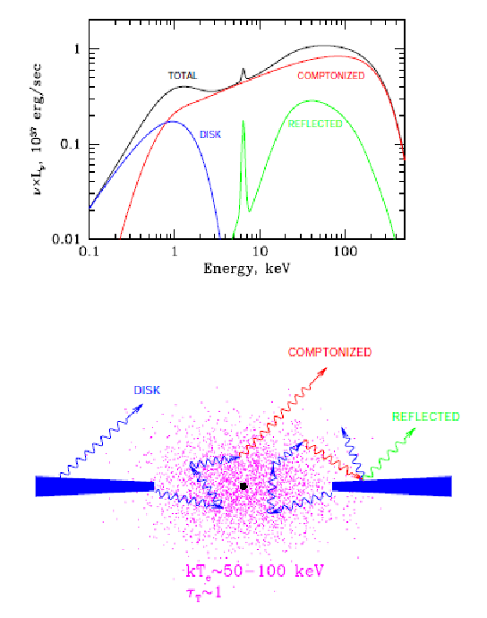 Model Spectrum